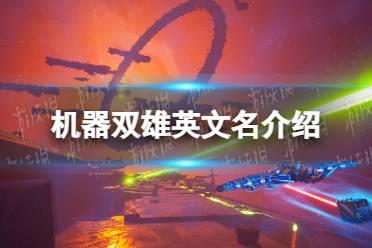 《机器双雄》英文名介绍