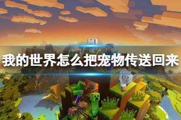 《我的世界》传送宠物方法介绍