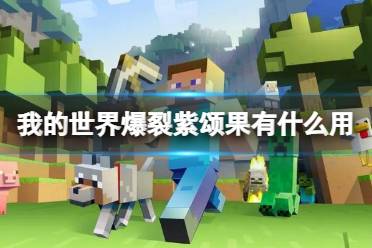 《我的世界》爆裂紫颂果作用介绍