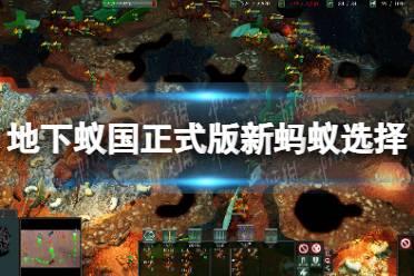 《地下蚁国》正式版新蚂蚁选择推荐