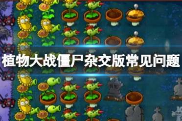 《植物大战僵尸杂交版》新手常见问题解答
