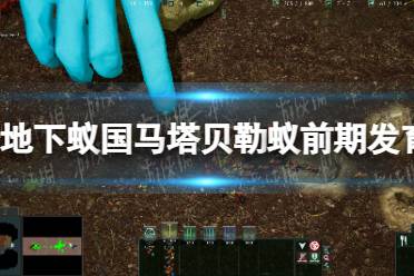 《地下蚁国》马塔贝勒蚁前期发育方法