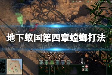 《地下蚁国》第四章螳螂打法介绍