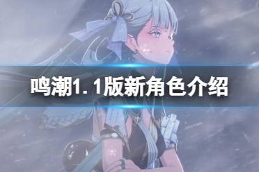 《鸣潮》1.1版新角色介绍