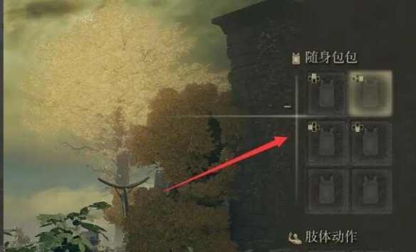 《艾尔登法环》随身包包放东西方法介绍