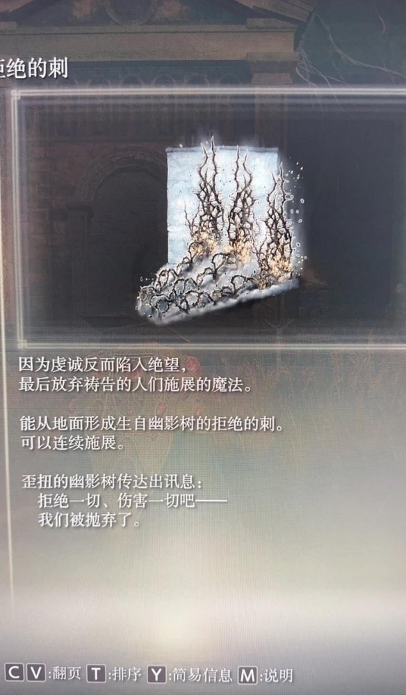 《艾尔登法环》dlc荆棘法师流配装分享