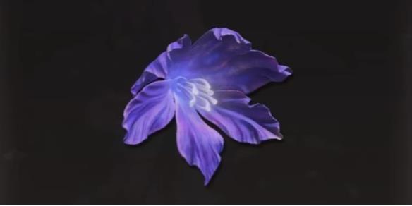 《艾尔登法环》dlc托莉娜孤花获得方法