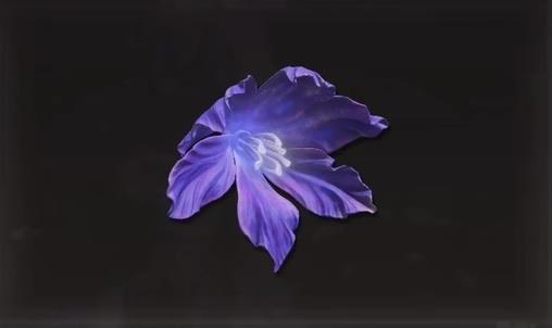 《艾尔登法环》dlc托莉娜孤花获得方法