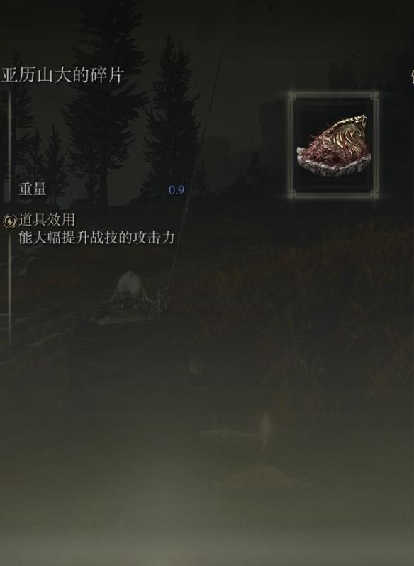 《艾尔登法环》dlc火焰骑士大剑配装推荐