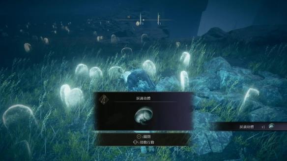 《艾尔登法环》dlc全泪滴幼体位置一览