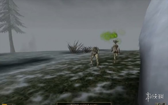 《上古卷轴3血月》游戏类型介绍