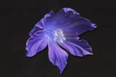 《艾尔登法环》dlc托莉娜孤花获得方法