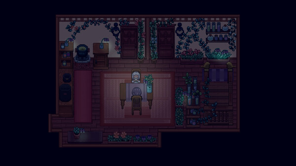 《小女巫与失落的记忆》是否支持手柄说明