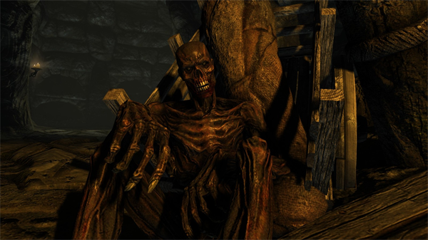 《上古卷轴3血月》支持语言介绍