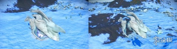 《无人深空》飞船类型、获取途径及数值强度怎么玩