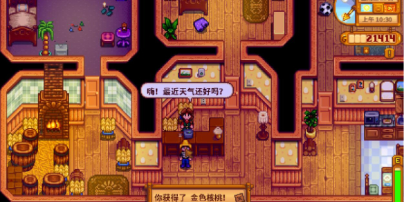 《星露谷物语》金核桃代码一览