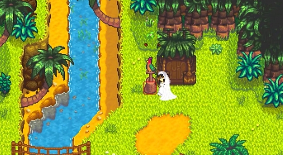 《星露谷物语》金核桃使用顺序介绍