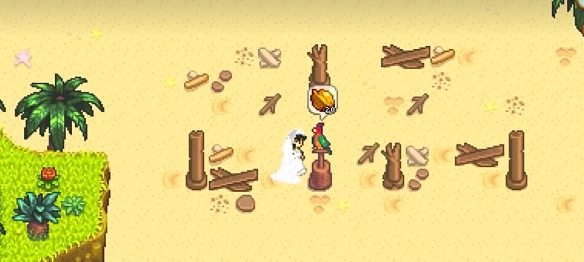 《星露谷物语》金核桃使用顺序介绍