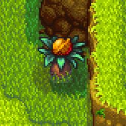 《星露谷物语》金核桃上限介绍