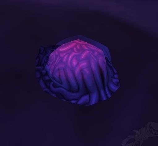 魔兽世界回忆之箱能开出什么