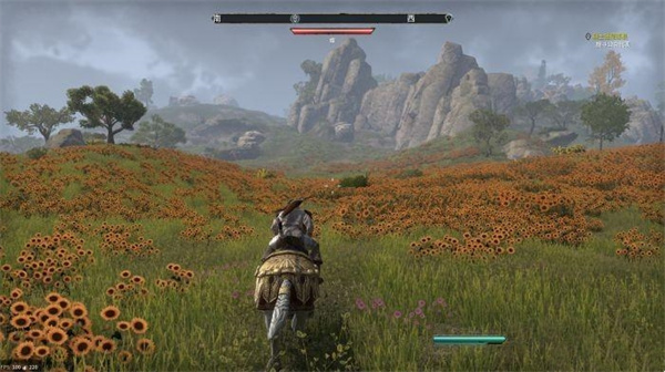 《上古卷轴OL高岛》标准版物品领取说明