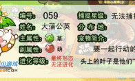 洛克王国大蒲公英技能表